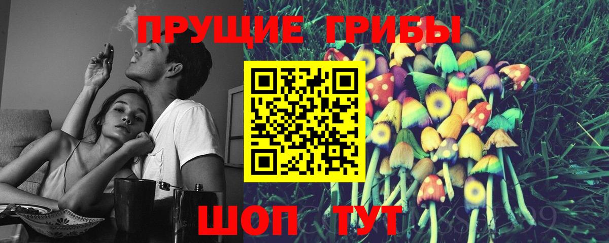Псилоцибиновые грибы мицелий  Вход с VPN  Галлюциногенные грибы Cubensis  где купить наркоту  Славянск-на-Кубани 