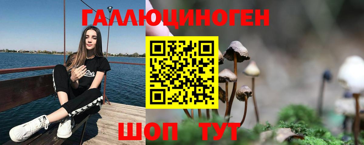 Псилоцибиновые грибы Magic Shrooms Славянск-на-Кубани